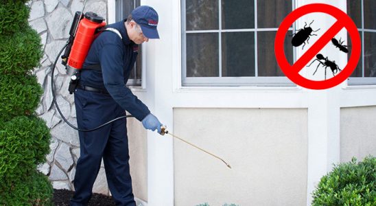 Sarıçam Böcek İlaçlama böcek ilaçlama ve haşere kontrolü — ilaclama-tr.com